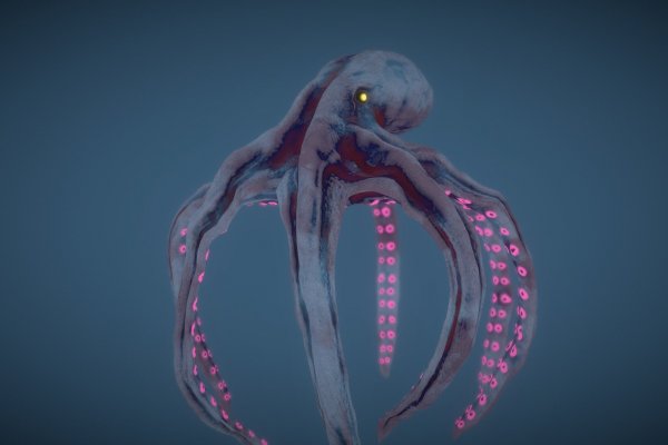 Kraken 12 att