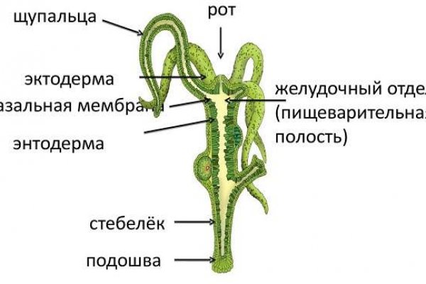 2krn at krakendark link