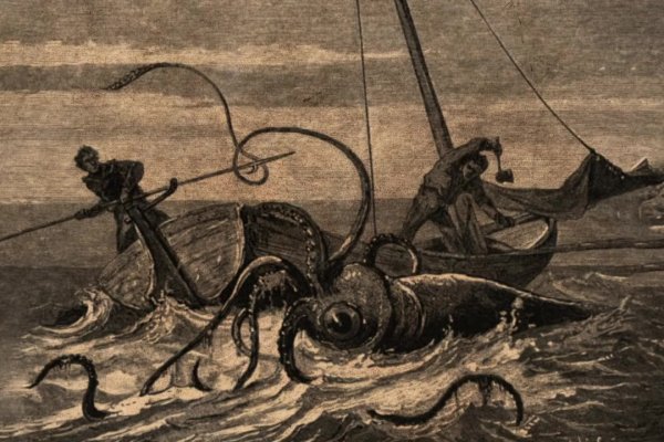 Маркетплейс кракен kraken darknet top