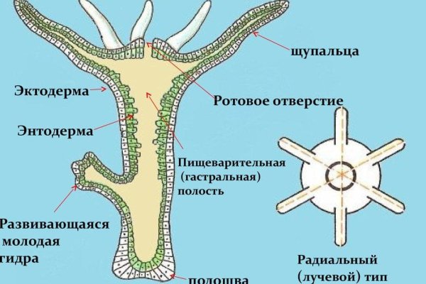 Даркнет кракен отзывы о платформе