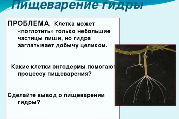 Kraken дарк магазин