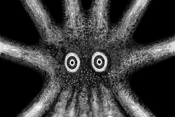Kraken официальная ссылка tor