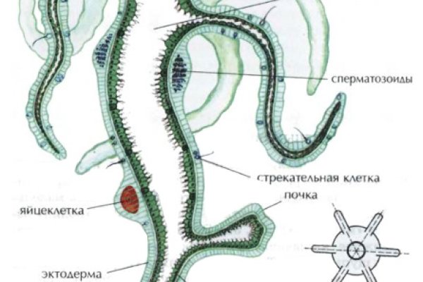 Кракен ссылка fo feng crmp ru