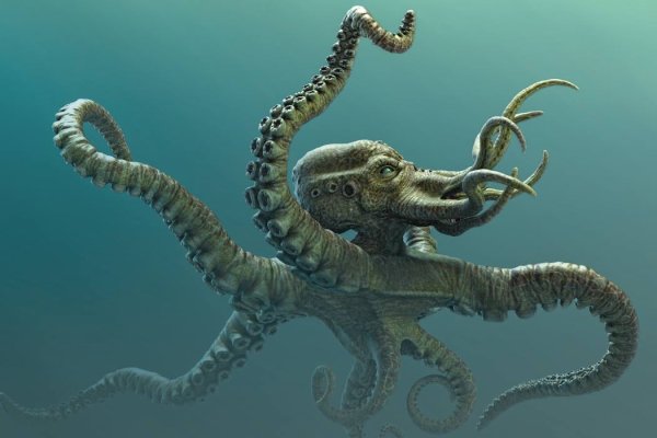 Kraken darknet ссылка тор