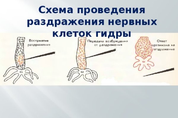 Кракен даркнет зайти