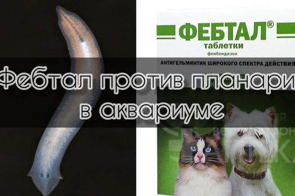 Не получается зайти на кракен